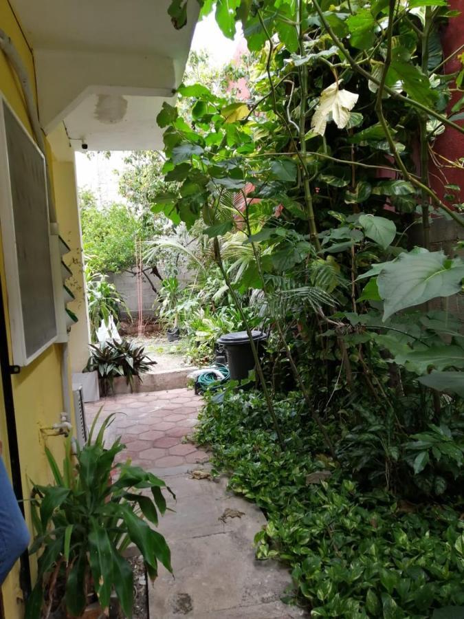 Appartement Gaviota à Playa del Carmen Extérieur photo